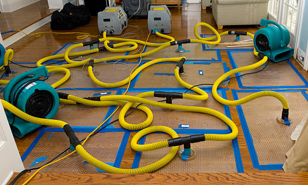 Professional Flood Damage Restoration technician working in Richmond Hill, NY